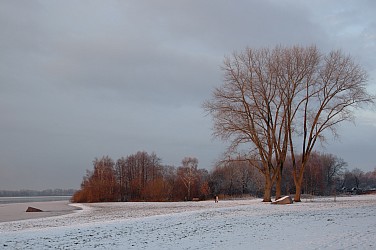 Erster Schneefall am Einfelder See