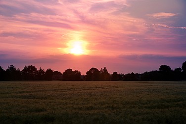 Sonnenuntergang am Weizenfeld