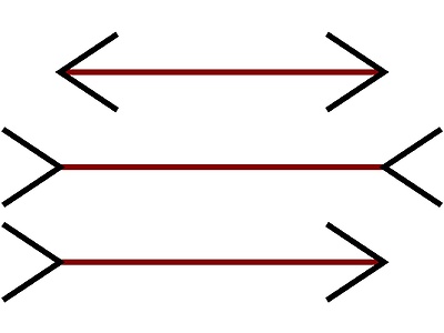 Which of the red lines is the longest?