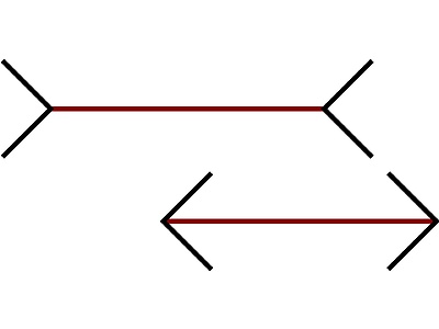 Which of the two red lines is shorter?
