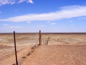 The Dog Fence