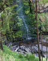 Blick auf die Erskine Falls von oben