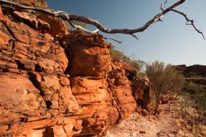 Unterwegs im Kings Canyon