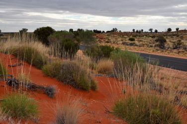 Roter Sand im Outback