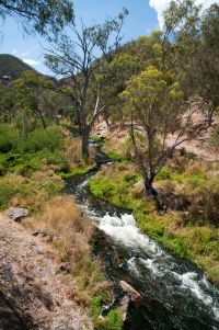 Blick auf den River Torrens