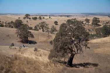 Landschaft mit trockenen Wiesen