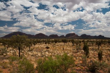 Die Olgas (Kata Tjuta) aus der Ferne