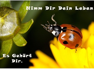 Nimm Dir Dein Leben. Es Gehört Dir