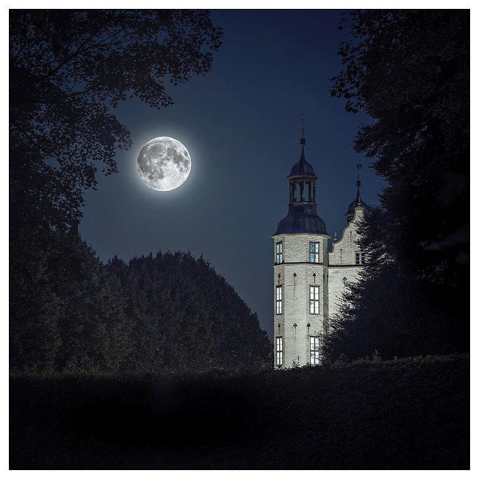 Der Vollmond steht klar am nächtlichen Himmel und taucht die Szenerie in sanftes Silberlicht. Zwischen den Schatten der Bäume ragt der beleuchtete Schlossturm empor – ein Moment voller Ruhe, Magie und zeitloser Eleganz.