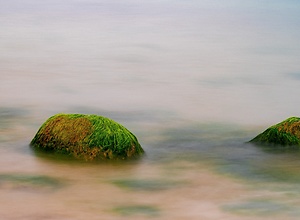 Zwei bewachsene Steine im Meer