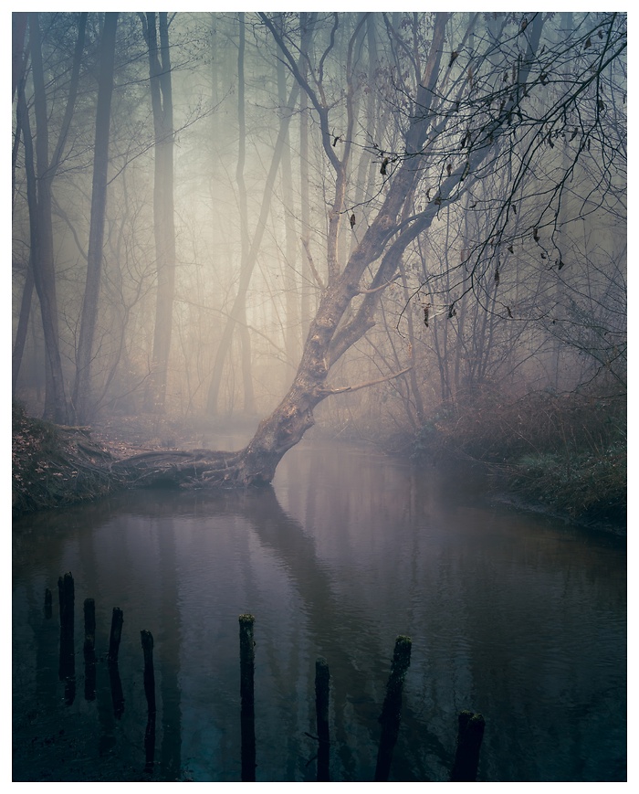 Blick auf die stille Gronau im mystischen Nebel
