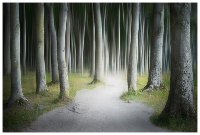 Ein stiller Pfad durch den Wald – und plötzlich verschwimmen die Grenzen. Licht, Stille und ein Hauch Magie.
Wo endet der Weg – oder fängt er gerade erst an?