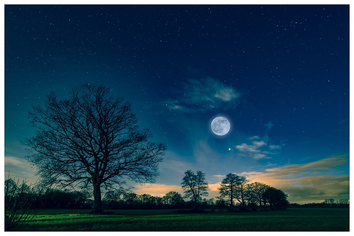 Eine Nachtaufnahme mit dem leuchtenden Mond am Abendhimmel über einem Feld