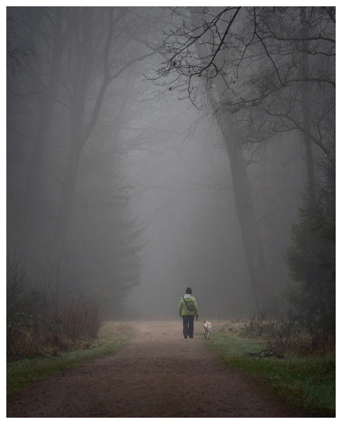 Ein stiller Pfad im Wald, eingehüllt in dichtem Nebel – nur eine einzelne Gestalt mit Hund verschwindet langsam in der Ferne. Die Welt scheint hier den Atem anzuhalten. Ruhe, Einsamkeit, und doch Geborgenheit – eine Szene, die ganz leise spricht.