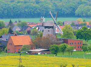 Windmühle hinterm Rapsfeld