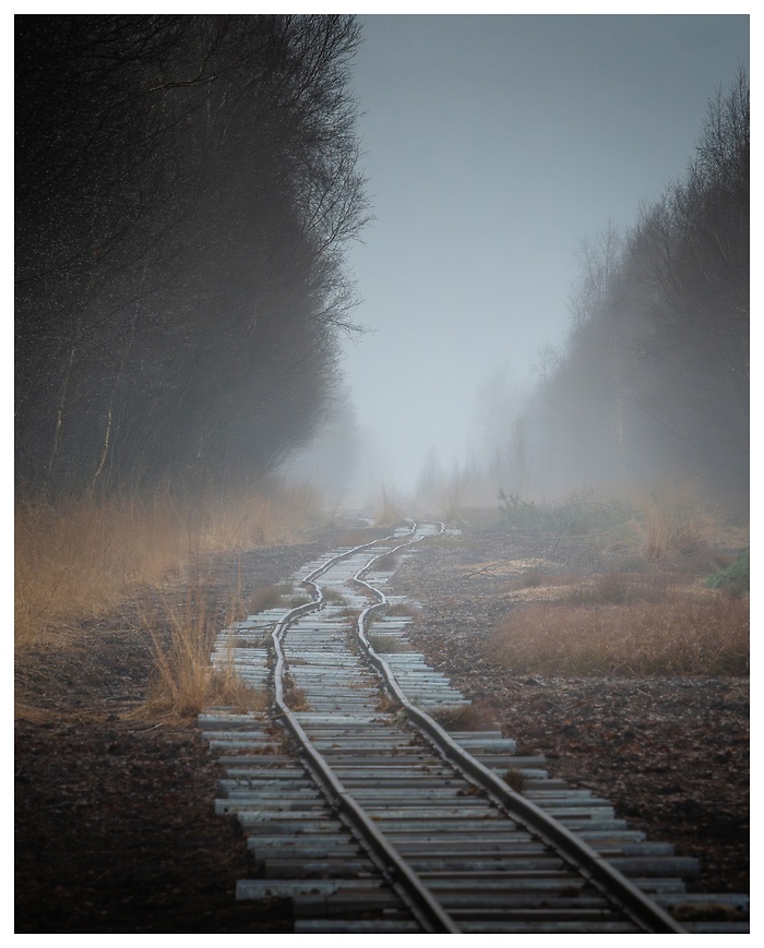 Verbogene Gleise führen ins Ungewisse – verborgen im Nebel eines stillen Morgens irgendwo im Norden. Dieses Bild wirkt wie eine Szene aus einem Traum oder ein vergessenes Kapitel aus einer alten Geschichte. Keine Züge, keine Geräusche – nur Stille und die Frage: Wohin führt dieser Weg?