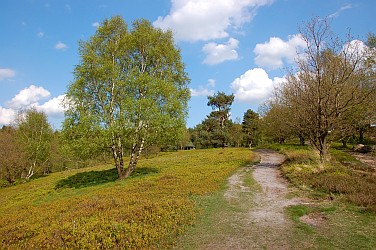 Auf dem Boxberg in Aukrug