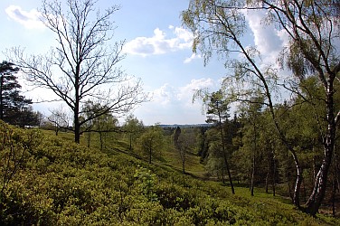 Foto vom Boxberg in Aukrug