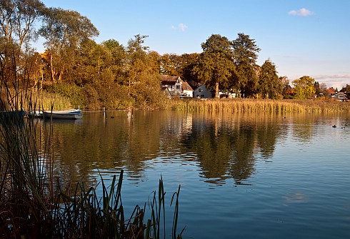 Blick auf den Bordesholmer See