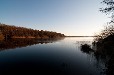 Zu Weihnachten am Einfelder See in Neumünster