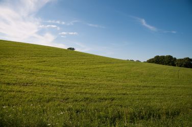 Landschaft in der Nahen Umgebung von Plön