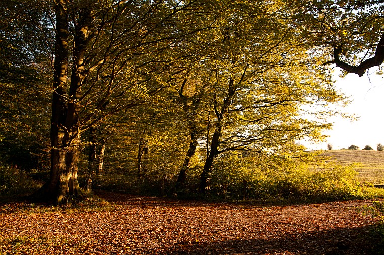 Indian Summer in Schleswig-Holstein