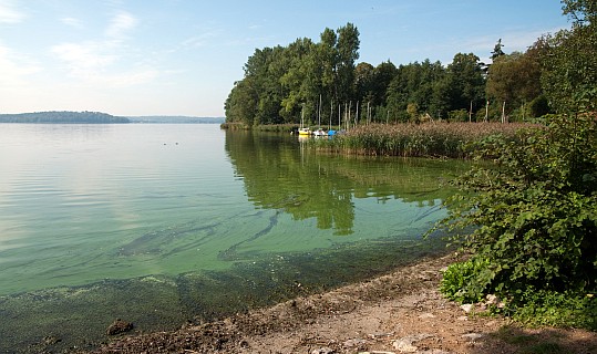 Kellersee bei Malente