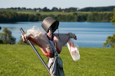 Vogelscheuche in der Nahen Umgebung von Plön