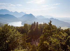 Alp lake near Neuschwanstein.