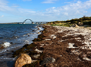 On the beach near Fehmarn in the Baltic Sea with the Fehmarn Sound Bridge.
