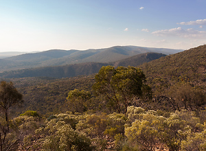 View over hill into the distance.
