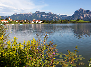 Hops lake with views of the Alps.