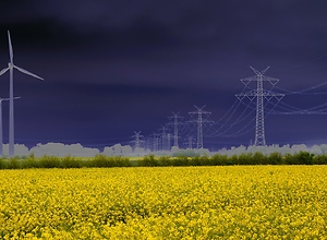 Power lines and wind turbines between yellow rapeseed fields