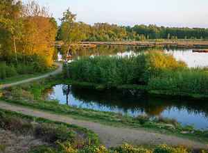 View of a path through the Himmelmoor in Quickborn.