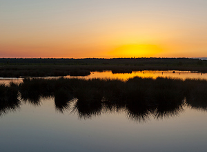 Colorful sunset in the Himmelmoor in Quickborn.