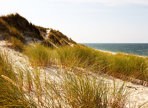 View over a dune on Sylt.
