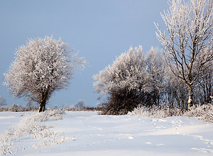 White snow landscape in Schleswig-Holstein.