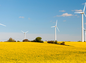 Landscape with wind turbines between yellow flowering rape fields.