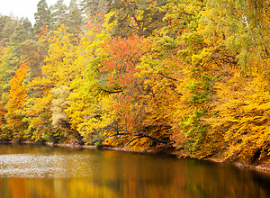 Golden autumn at the Bear lake