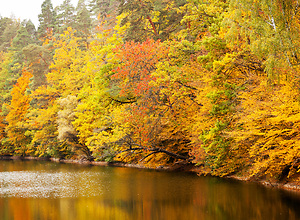 Colorful autumn trees over the water at bear lake.