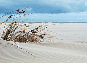 Saltwater lake stretching like a white desert.