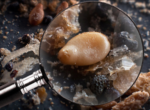 A magnifying glass shows the leftover grains and crumbs on the breakfast plate.