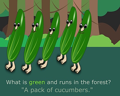 Pack of cucumbers in the forest