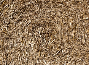 Round straw bales